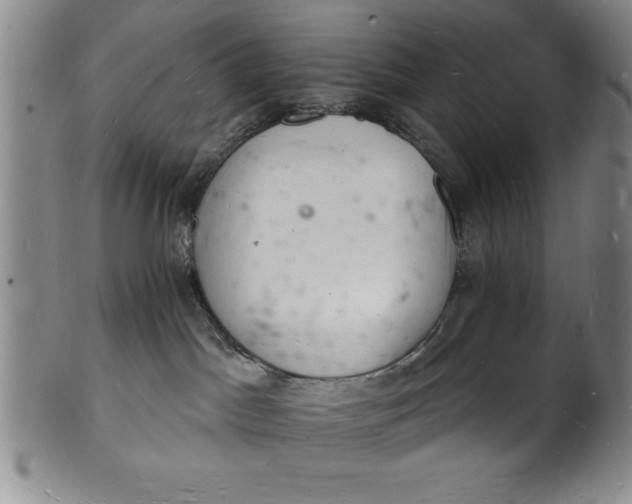 X0000102220045200808081326