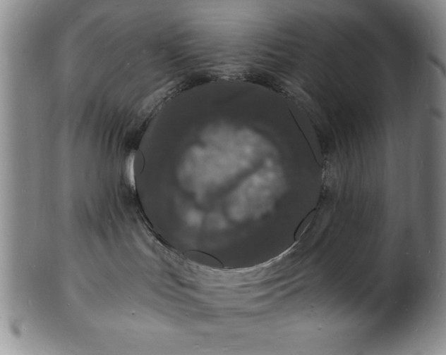 X0000102220047200808081326