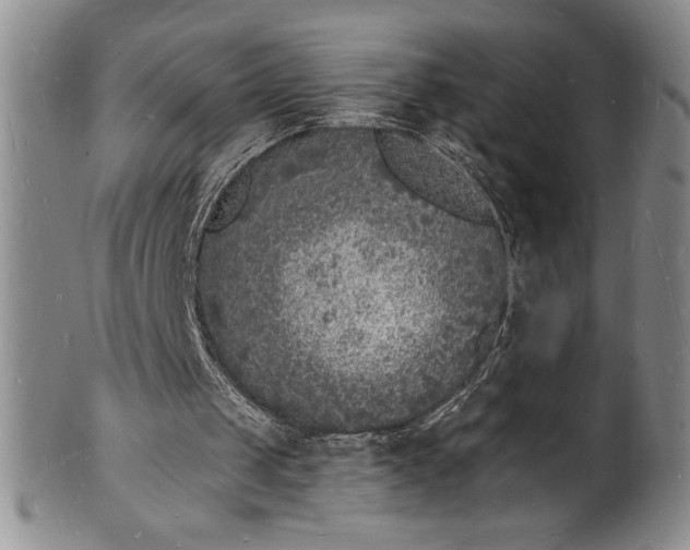 X0000102220049200808081325