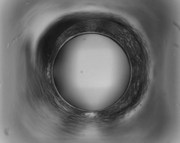 X0000102220050200808081325