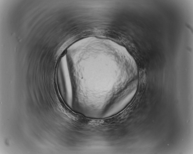 X0000102220051200808081325