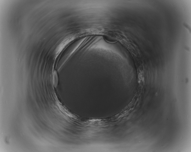 X0000102220052200808081325