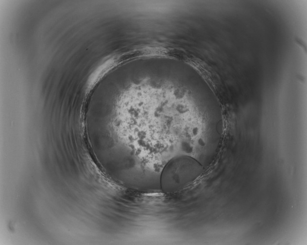 X0000102220053200808081325