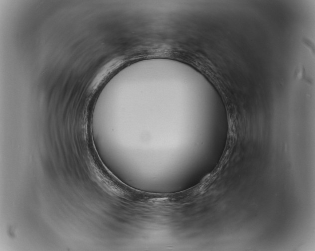 X0000102220054200808081325