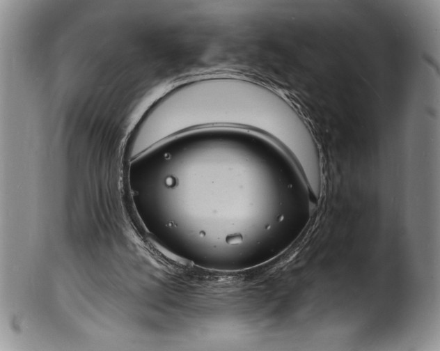 X0000102220056200808081325