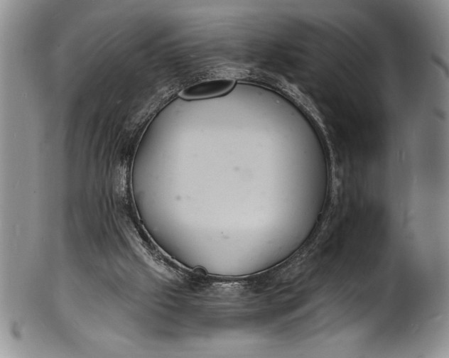 X0000102220057200808081325