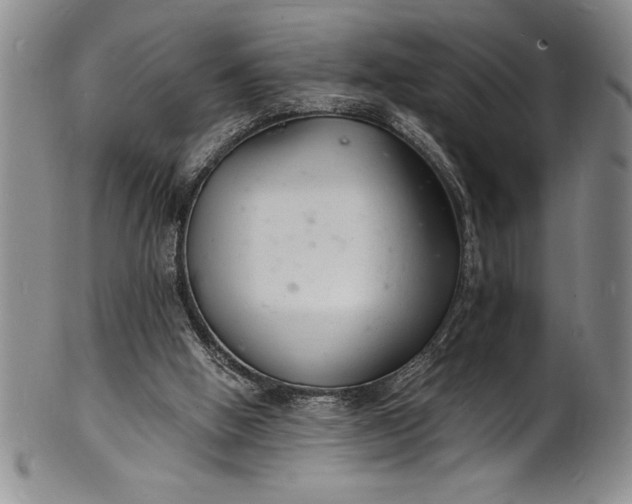 X0000102220058200808081325