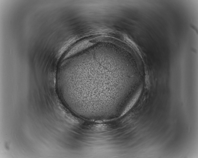 X0000102220059200808081325