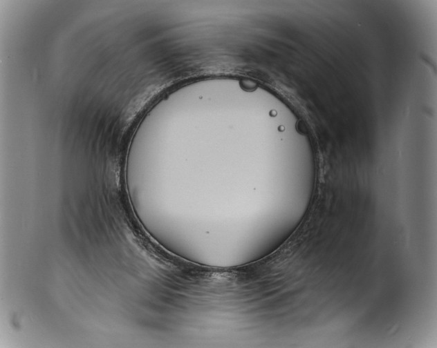 X0000102220060200808081325