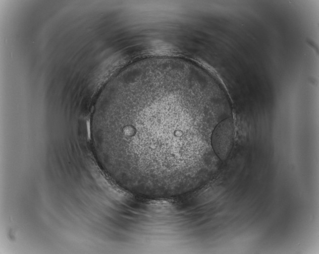 X0000102220061200808081325