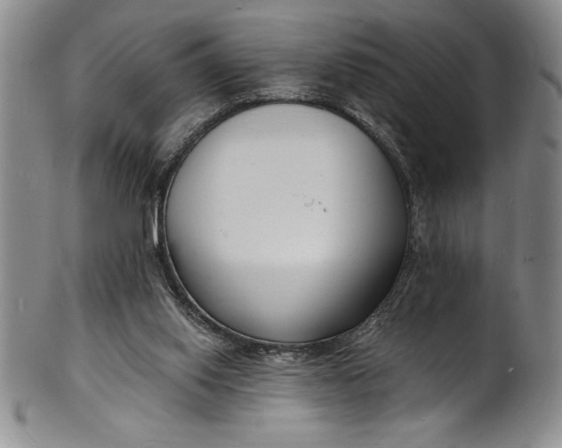 X0000102220062200808081325