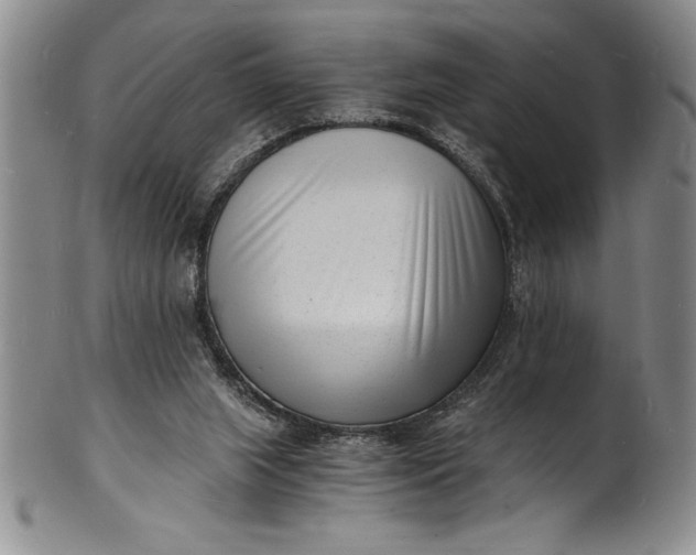 X0000102220063200808081325