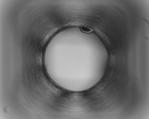 X0000102220064200808081325