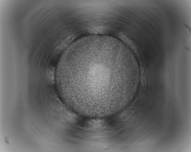 X0000102220065200808081325