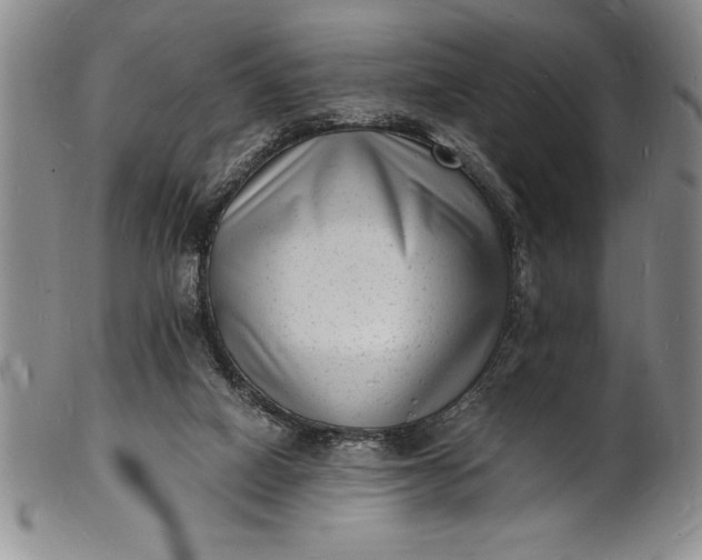 X0000102220066200808081326