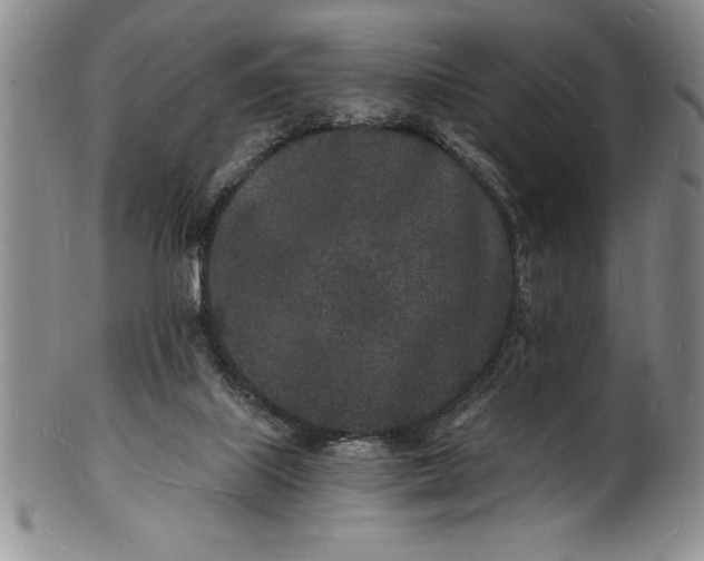 X0000102220067200808081326