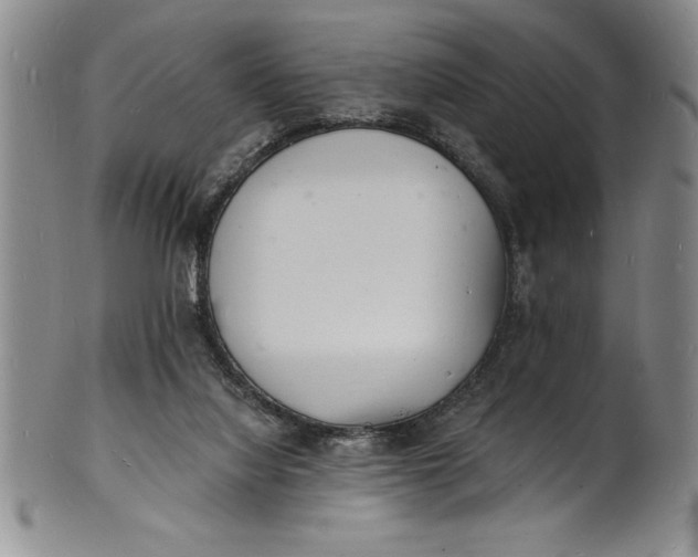 X0000102220068200808081326