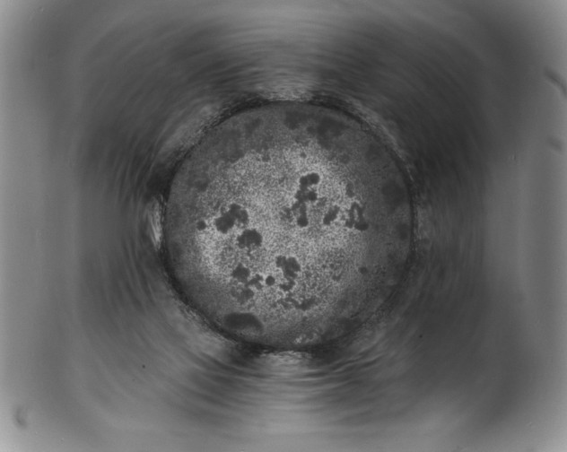 X0000102220069200808081326