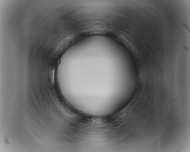 X0000102220070200808081326