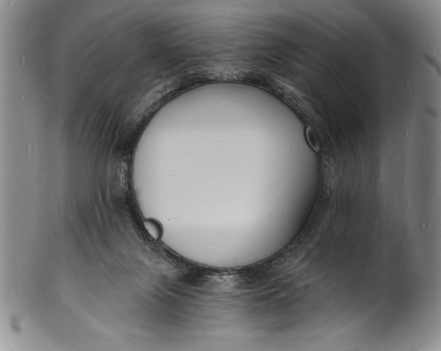 X0000102220071200808081326