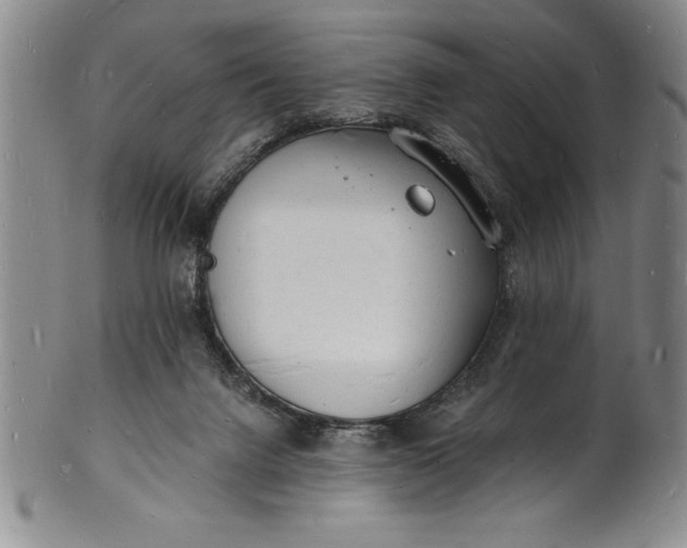 X0000102220072200808081326