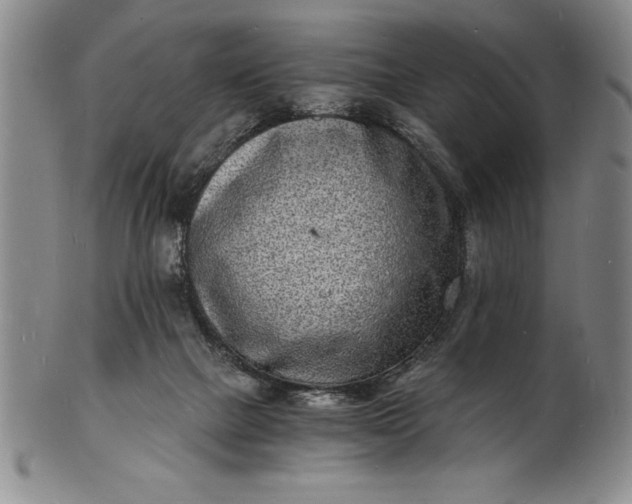 X0000102220073200808081326