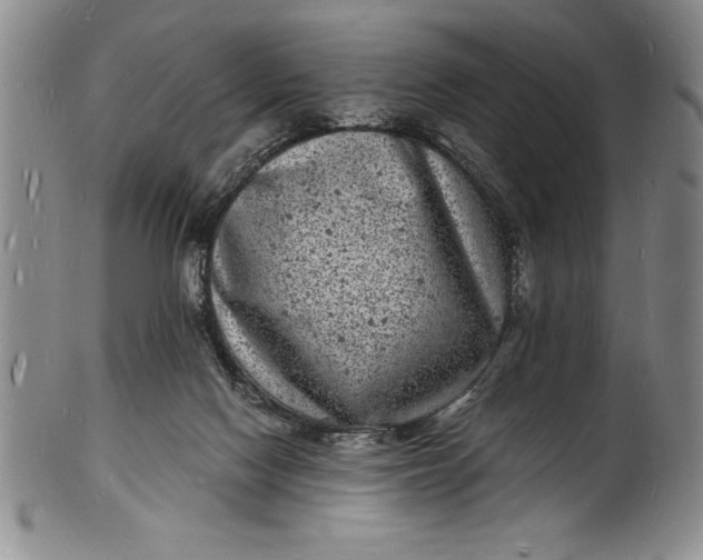 X0000102220074200808081326