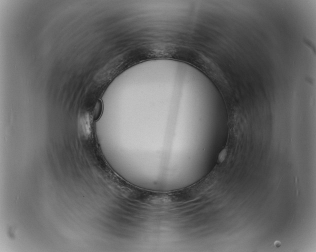 X0000102220075200808081326