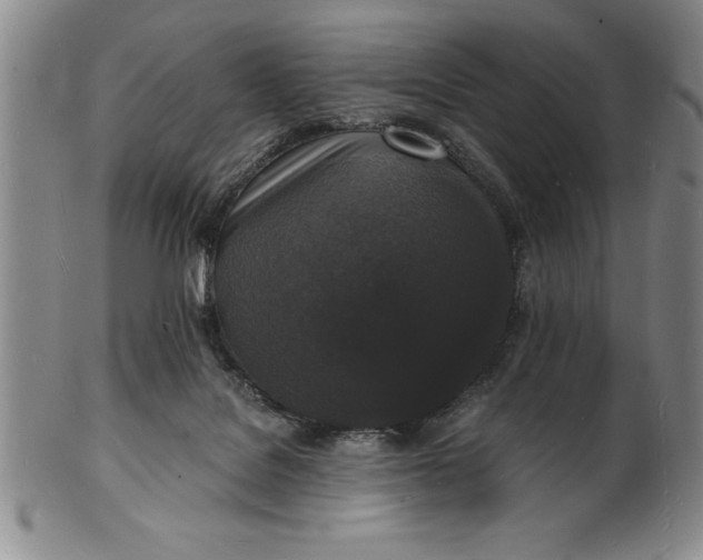 X0000102220076200808081326