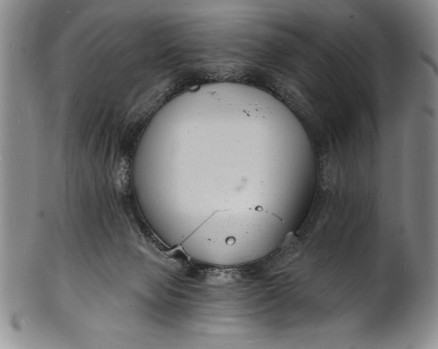 X0000102220077200808081326