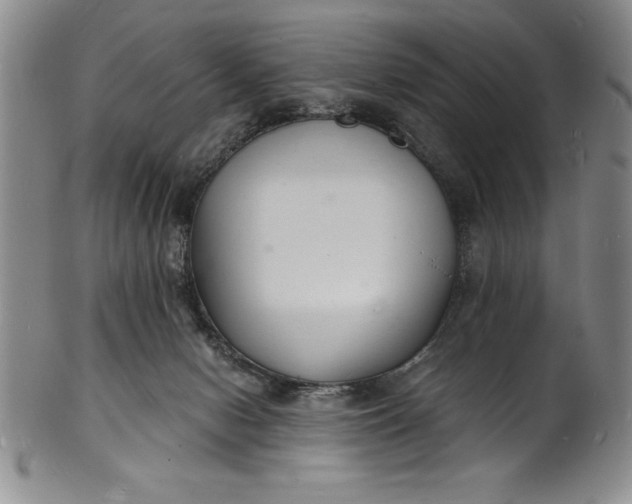 X0000102220078200808081326