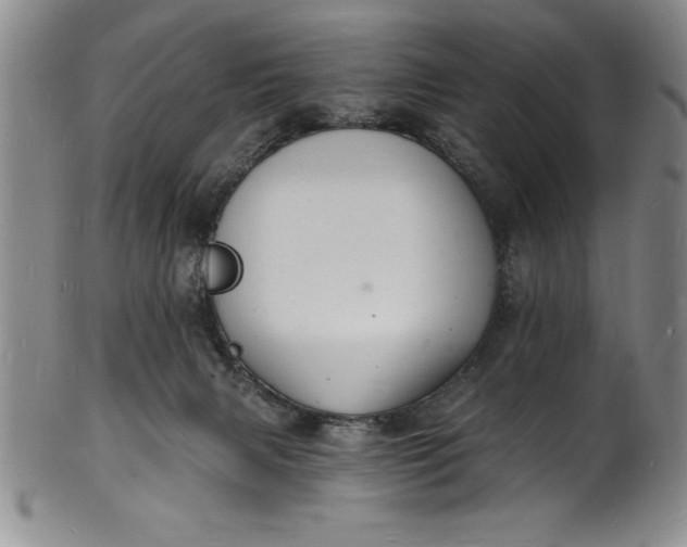 X0000102220079200808081326