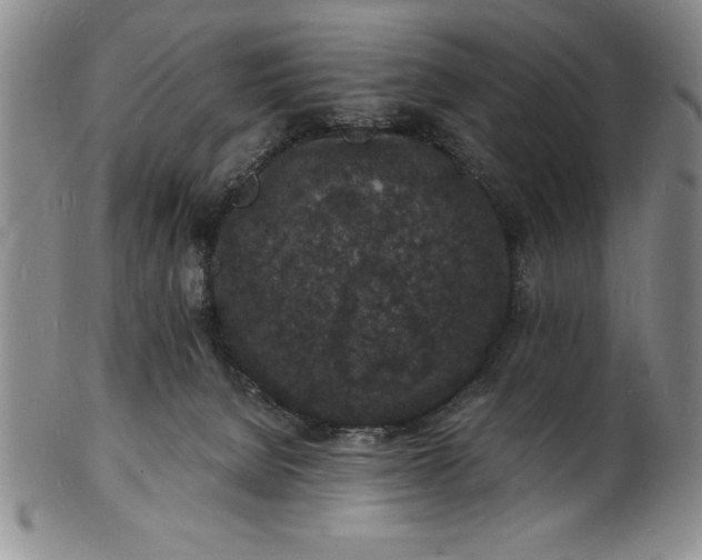 X0000102220080200808081326