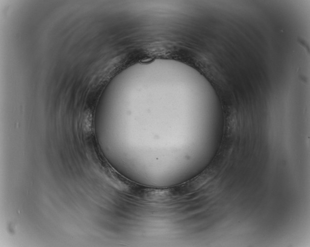 X0000102220081200808081326