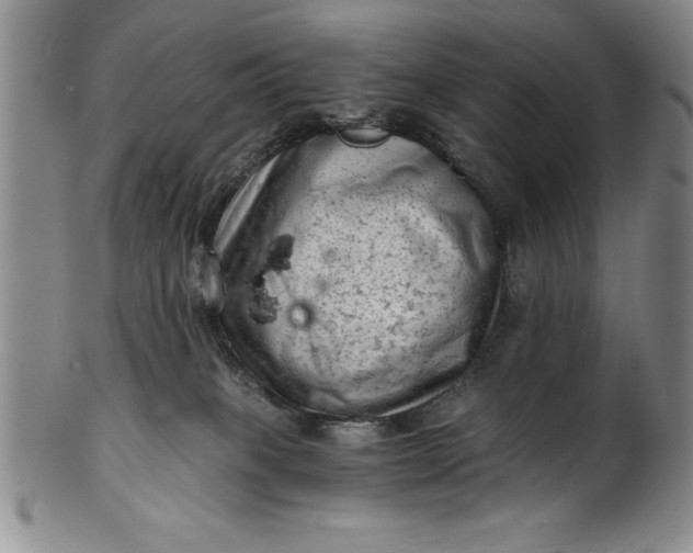 X0000102220085200808081326