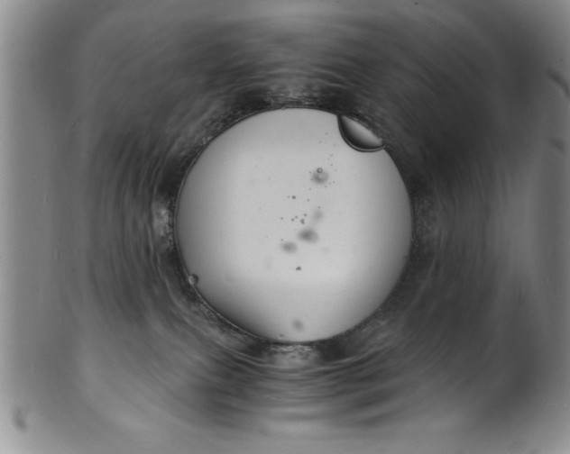 X0000102220087200808081326