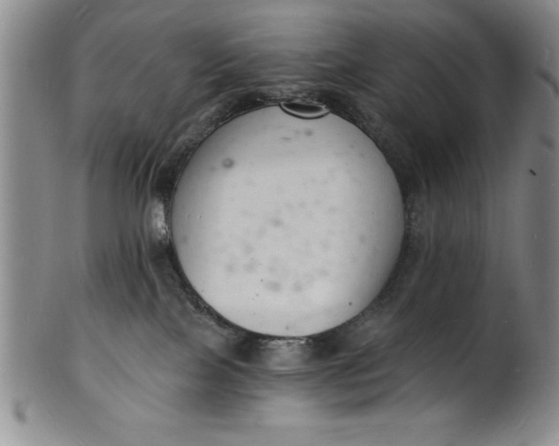 X0000102220089200808081326