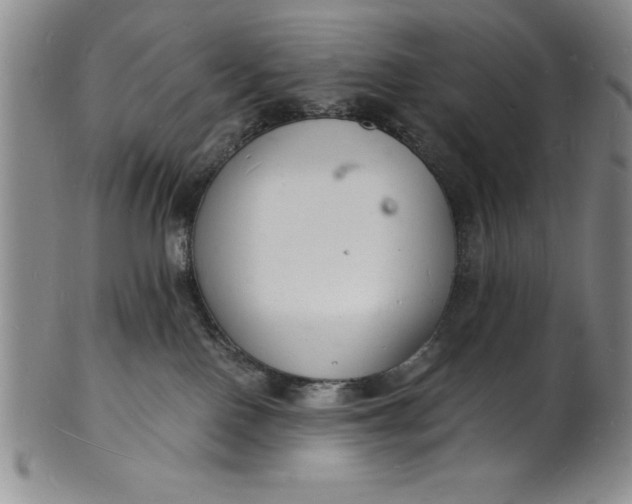 X0000102220090200808081326