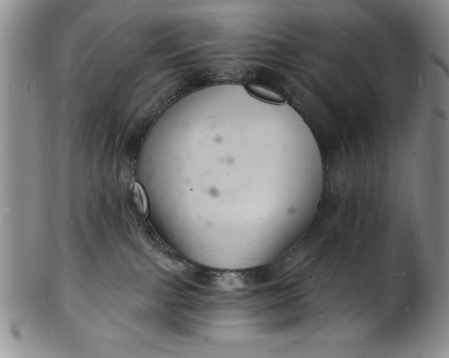 X0000102220091200808081326