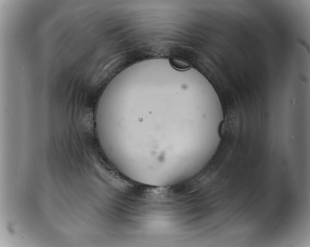 X0000102220092200808081326