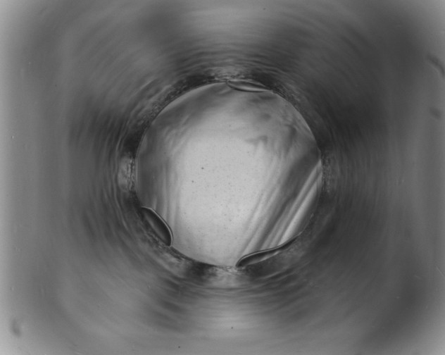 X0000102220093200808081326