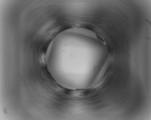 X0000102220094200808081326