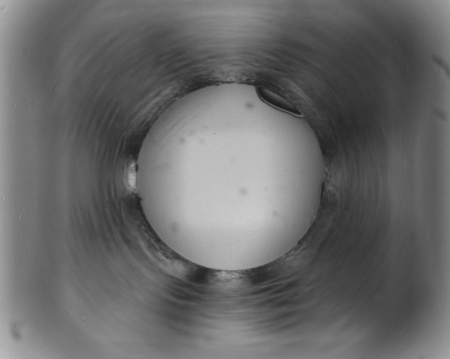 X0000102220095200808081326