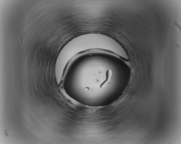 X0000102220096200808081326