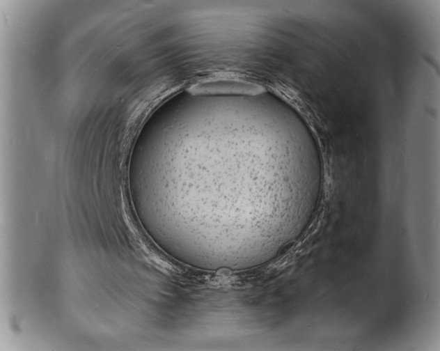 X0000102220097200808081325