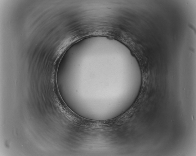 X0000102220098200808081325