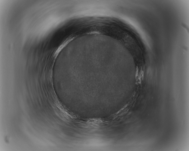 X0000102220099200808081325