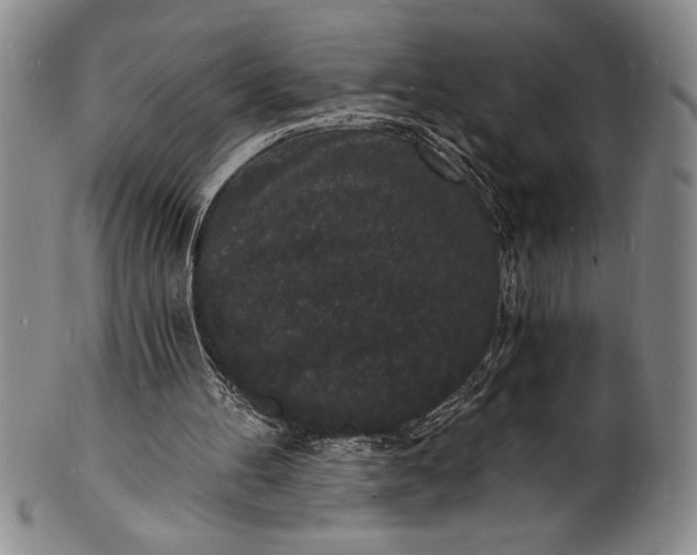 X0000102220100200808081325