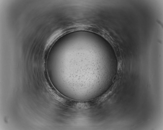 X0000102220101200808081325