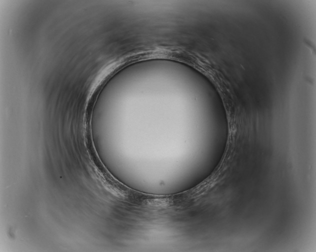 X0000102220102200808081325